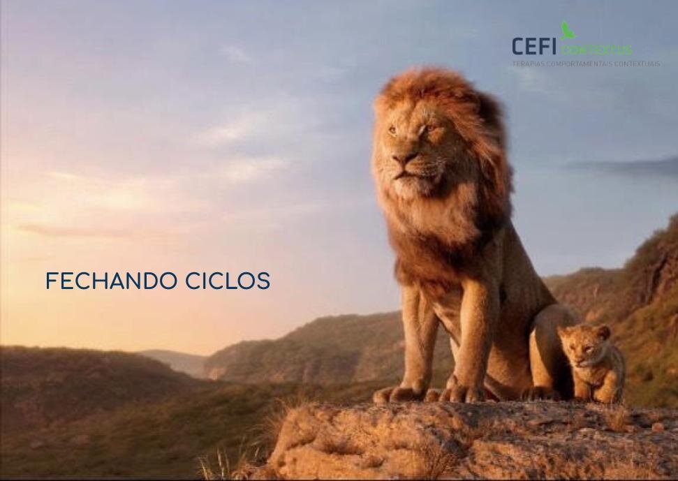 ciclos