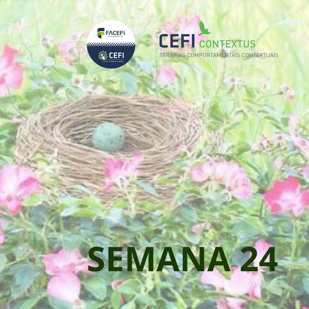 SEMANA 24 (1)